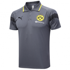 Borussia Dortmund POLO Shirt 23/24 Gray